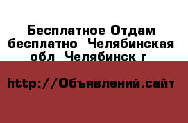 Бесплатное Отдам бесплатно. Челябинская обл.,Челябинск г.